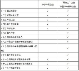 北京市外經(jīng)貿(mào)發(fā)展資金支持外貿(mào)企業(yè)提升國際化經(jīng)營能力實施方案解讀 網(wǎng)站開發(fā)與運營的關(guān)鍵作用