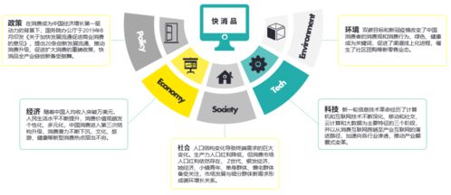 數字心智運營 把握時代機遇，論中國快消品企業D2C轉型趨勢及北京企業網站開發與運營
